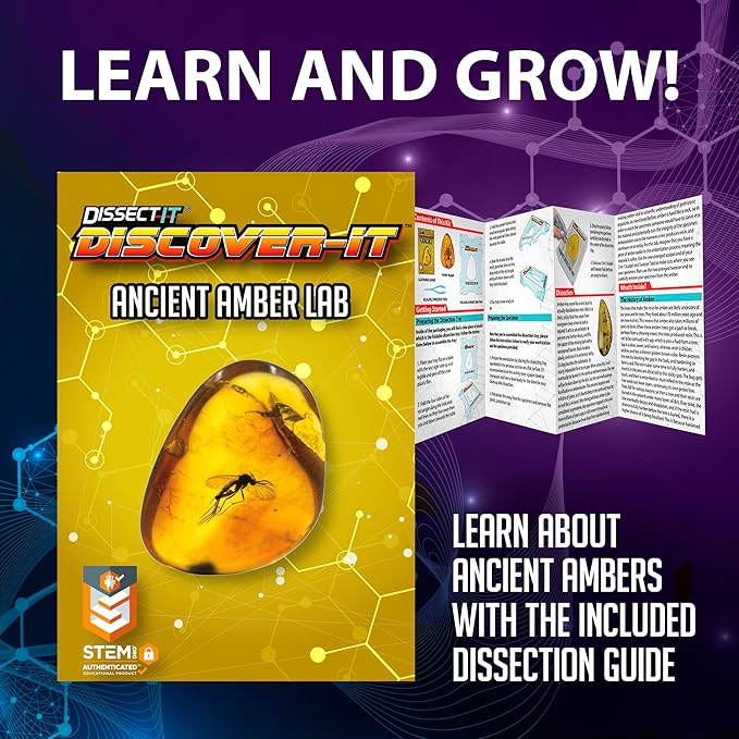 Dissect-It Discovery Line - Mystery Insects - Image 5