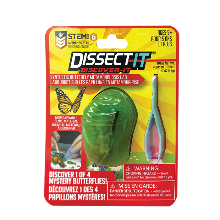 Dissect-It Discovery Line - Mystery Butterflies
