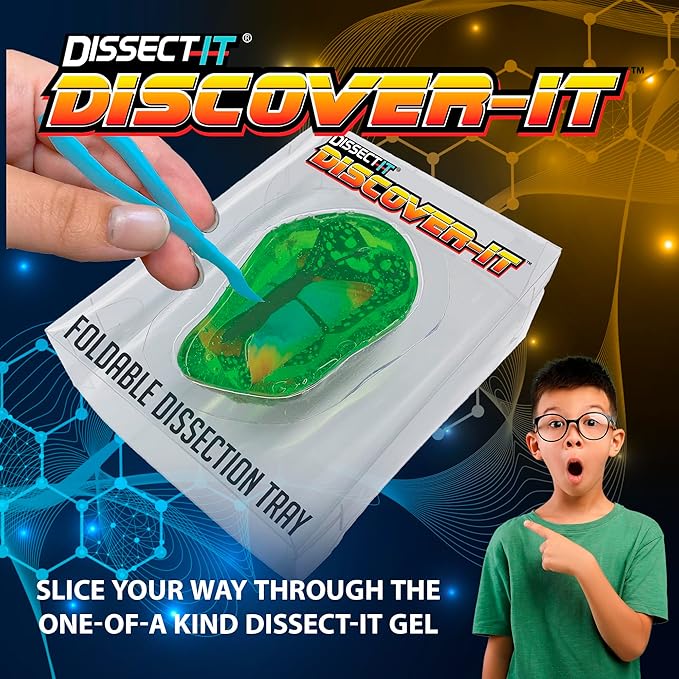 Dissect-It Discovery Line - Mystery Butterflies - Image 2