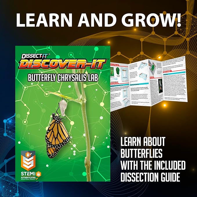 Dissect-It Discovery Line - Mystery Butterflies - Image 4