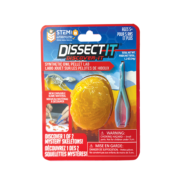 Dissect-It Discovery Line - Mystery Skeletons